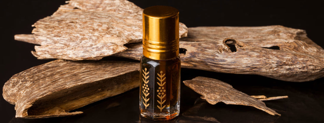Beste oud-parfums