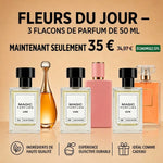 bundle_fr