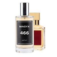 Smells like ... Rouge 540 - No. 466