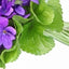 Violetės lapas